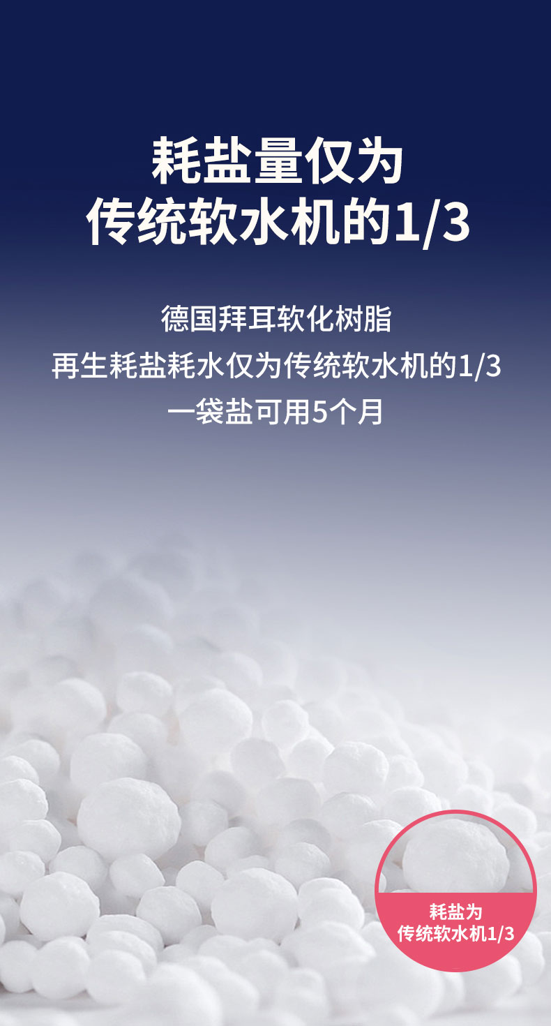 100-BS_12.jpg