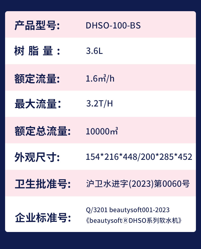 100-BS_18.jpg