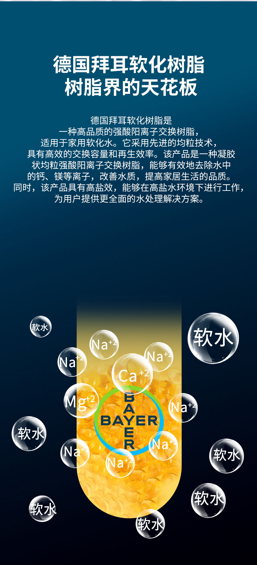 200-BL_11.jpg