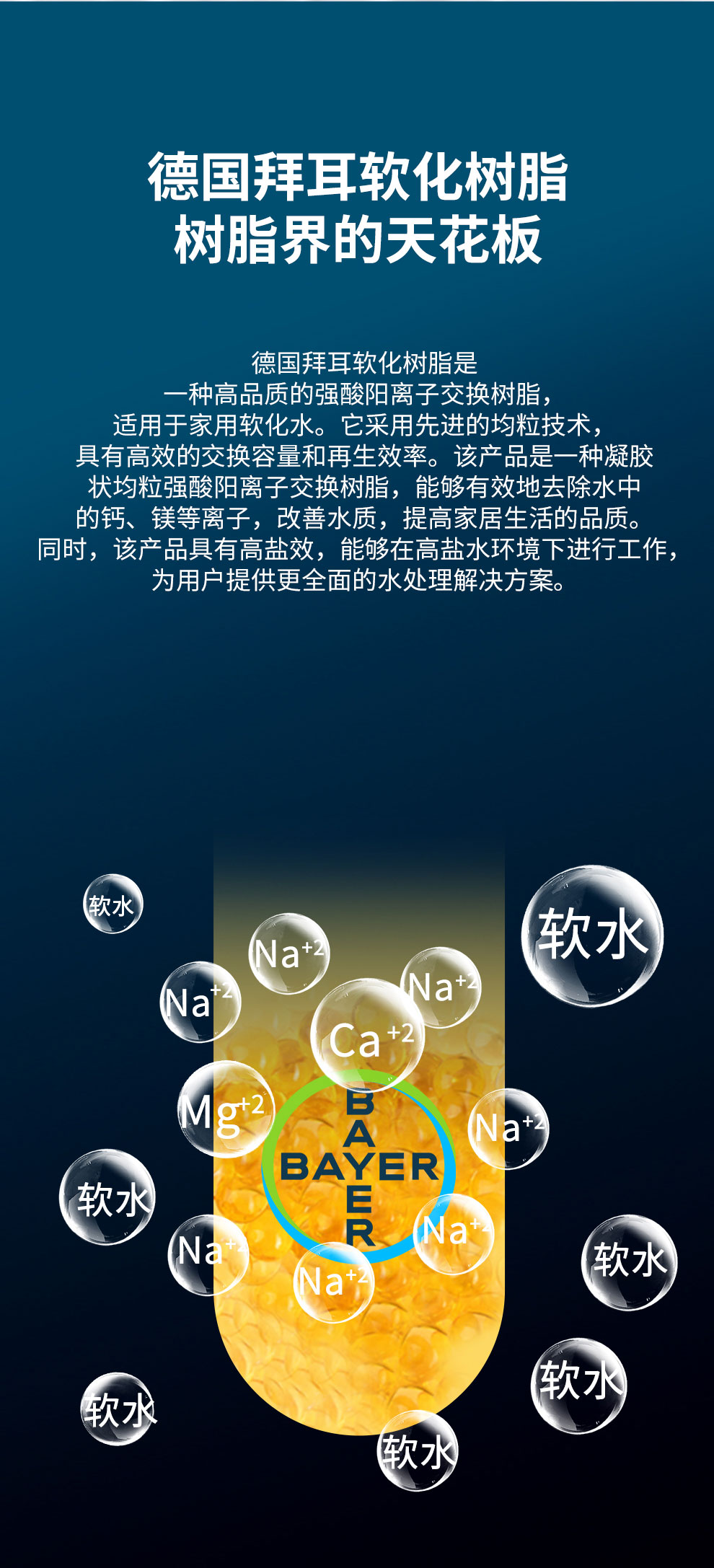 100-B_10.jpg